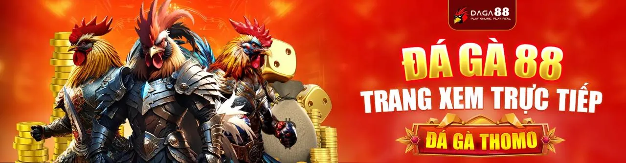 Đá gà kịch tính tại đấu trường WW888